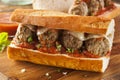 Hot and Homemade Spicy Meatball Sub Sandwich