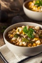 Hot Homemade White Bean Chicken Chili Royalty Free Stock Photo