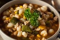 Hot Homemade White Bean Chicken Chili Royalty Free Stock Photo