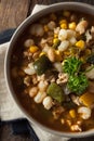 Hot Homemade White Bean Chicken Chili Royalty Free Stock Photo