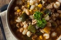 Hot Homemade White Bean Chicken Chili Royalty Free Stock Photo