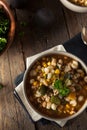 Hot Homemade White Bean Chicken Chili Royalty Free Stock Photo