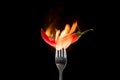 Hot hot red pepper on a fork fire burning on a black background Royalty Free Stock Photo