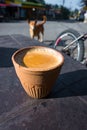 Hot Indian spiced tea served in a traditional clay pot glass called Kulhad with India Pariah stray dog in the background. Outdoor