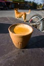 Hot Indian spiced tea served in a traditional clay pot glass called Kulhad with India Pariah stray dog in the background. Outdoor