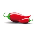 Hot jalapeno or chili vector