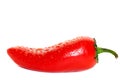 Hot jalapenos Royalty Free Stock Photo