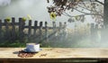 Hot latte coffee on old wooden table in sunflowers garden with fog clouds and autumn tree morning light scene