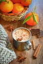 Hot liquid chocolate with winter spices Royalty Free Stock Photo