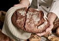 Hot loaf of rye bread in hands of baker