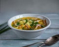 Hot lunch of chicken soup with vegetables and green onions in a deep light plate on a wooden table Royalty Free Stock Photo