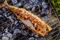 Hot mackerel fish on a grilling pan, with herb spices on fire Royalty Free Stock Photo