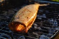 Hot mackerel fish on a grilling pan, with herb spices on fire Royalty Free Stock Photo