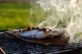 Hot mackerel fish on a grilling pan, with herb spices on fire Royalty Free Stock Photo