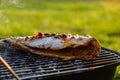 Hot mackerel fish on a grilling pan, with herb spices on fire Royalty Free Stock Photo