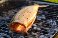 Hot mackerel fish on a grilling pan, with herb spices on fire Royalty Free Stock Photo