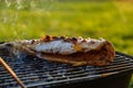 Hot mackerel fish on a grilling pan, with herb spices on fire Royalty Free Stock Photo