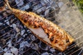 Hot mackerel fish on a grilling pan, with herb spices on fire Royalty Free Stock Photo