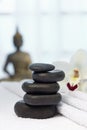 Hot massage stones from basalt Royalty Free Stock Photo