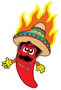 Hot Mexican chilli Royalty Free Stock Photo