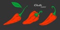 Hot Mexican pepper. Chili Pepper hand drawing .Set of paprika . Vegetables. Vector illustration