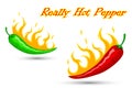 Really hot mexican peppers. Green and red peppers with fire on white isolated background. Vector