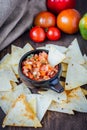 Hot mexican salsa - spicy dip with nachos - chips from corn Royalty Free Stock Photo