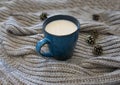 Hot milk drink in a blue mug and a warm scarf Royalty Free Stock Photo