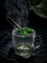 Hot mint tea in winter Royalty Free Stock Photo