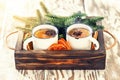 Hot mulled cider or spiced tea Royalty Free Stock Photo