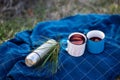 Hot mulled wine in a cups. Outdors picnic in autumn park. Gluhwein, hot wine Royalty Free Stock Photo