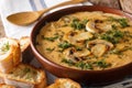 Hot mushroom soup with fresh dill and toast close-up. horizontal Royalty Free Stock Photo