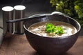 Hot mushroom soup with noodles. Royalty Free Stock Photo