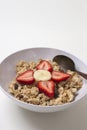 Hot Oatmeal Cereal with Fruit Royalty Free Stock Photo