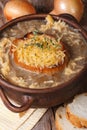 Hot onion soup with croutons and ingredients. Vertical Royalty Free Stock Photo