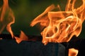 Hot orange bbq fire flames grill burning close Royalty Free Stock Photo