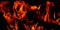 Hot, orange flames of burning wood in the fireplace. Fire dance on black background Royalty Free Stock Photo