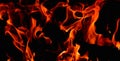 Hot, orange flames of burning wood in the fireplace. Fire dance on black background Royalty Free Stock Photo