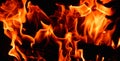 Hot, orange flames of burning wood in the fireplace. Fire dance on black background Royalty Free Stock Photo
