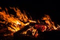 Hot orange nature bonfire flaming at night