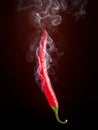 Hot Pepper Royalty Free Stock Photo