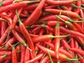 Hot pepper Royalty Free Stock Photo