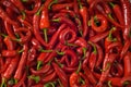 Hot pepper. Background.