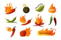 Hot pepper. Cartoon green and red chilli spice with fire flames. Sauce and dish ingredients. Seasoning food emblems with