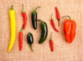 Hot pepper collection on jute background Royalty Free Stock Photo