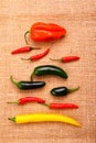 Hot pepper collection on jute background Royalty Free Stock Photo
