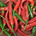 Hot pepper sheals Royalty Free Stock Photo