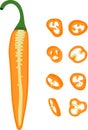 Hot pepper vector illustration. Hot pepper. Chilli. Cayenne pepper.