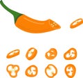 Hot pepper vector illustration. Hot pepper. Chilli. Cayenne pepper.