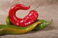 Hot peppers , beautiful background spices and condiments close up Royalty Free Stock Photo